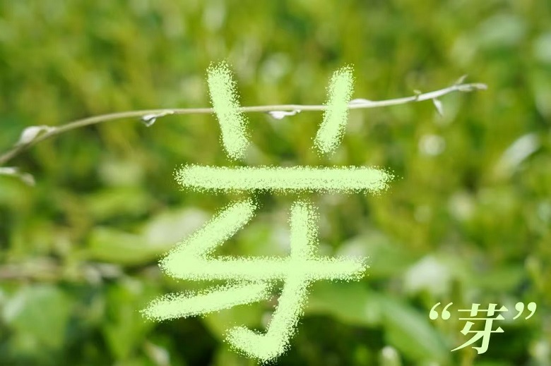 20250410132403505 尊龙凯时 - 人生就是搏!